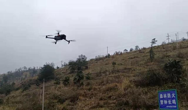 無人機技術助力保護區(qū)科學護林巡山 (圖2)