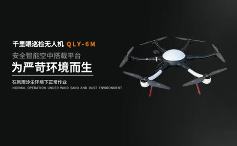 淺析無(wú)人機(jī)在濕地公園鳥(niǎo)類遷徙監(jiān)測(cè)中的作用(圖1)